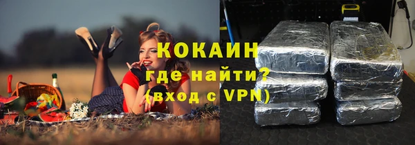 прущие грибы Каменск-Шахтинский