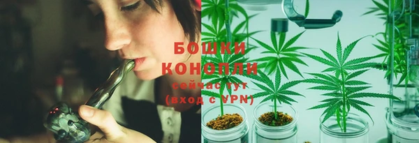 прущие грибы Каменск-Шахтинский