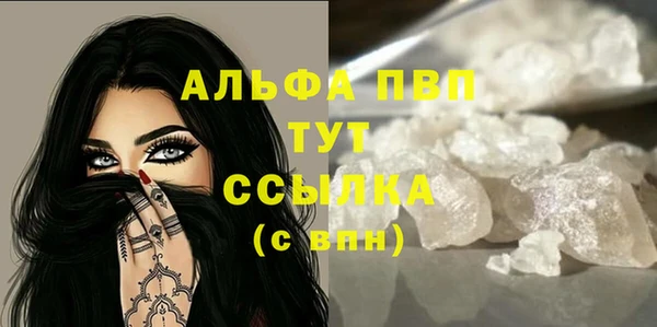 прущие грибы Каменск-Шахтинский