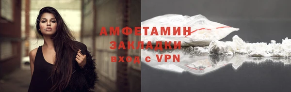 прущие грибы Каменск-Шахтинский