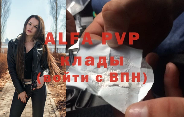 прущие грибы Каменск-Шахтинский