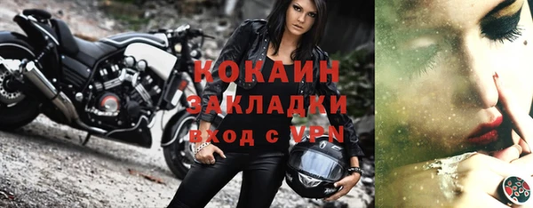 прущие грибы Каменск-Шахтинский